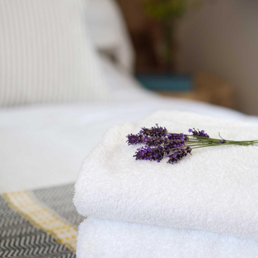 Bird & Carter Fonthill Bed and Breakfast Fonthill Bishop Εξωτερικό φωτογραφία